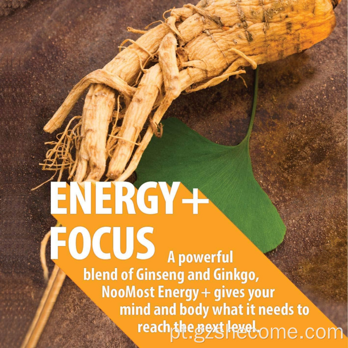 Extratos de plantas orgânicas Panax Ginseng + Ginkgo Biloba